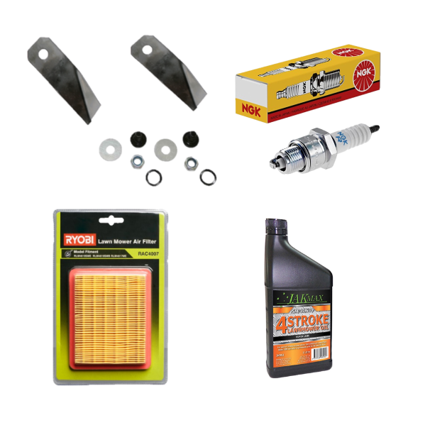 Ryobi rlm4619sme deals